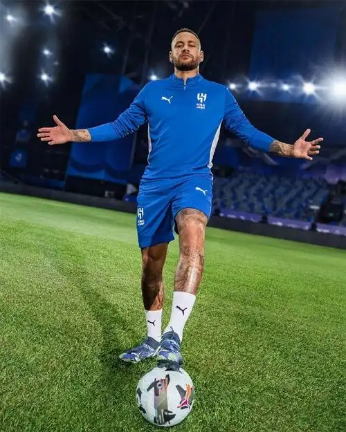 近年来不断 近年来不断